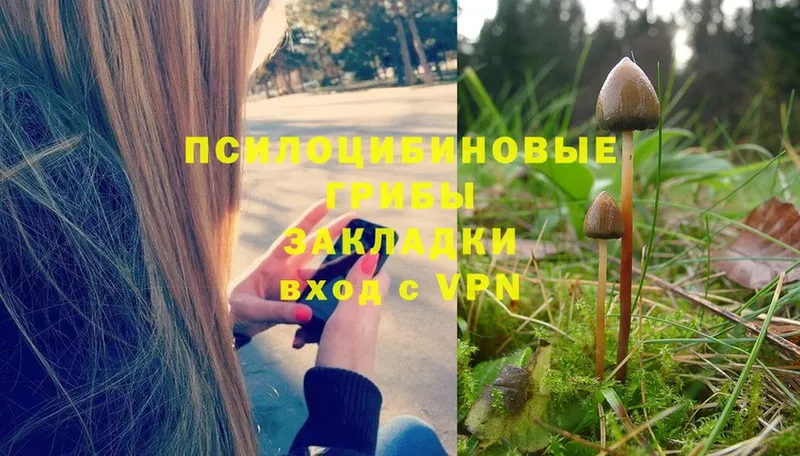 Галлюциногенные грибы Magic Shrooms  Котовск 